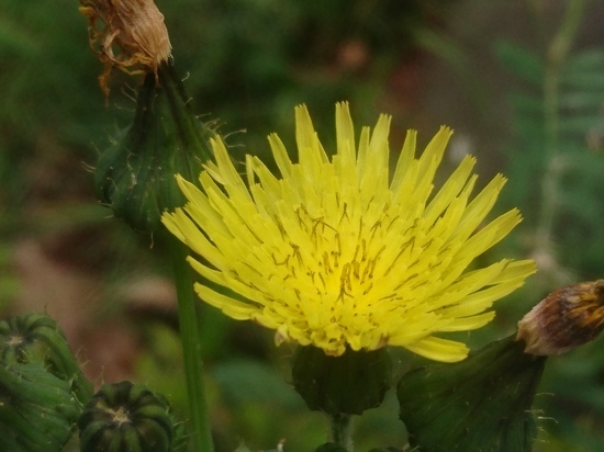 DSC_0008.jpg