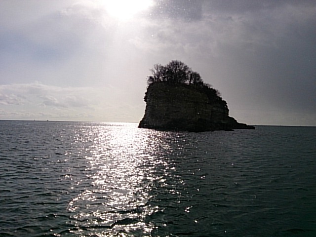 DSC_0094.jpg