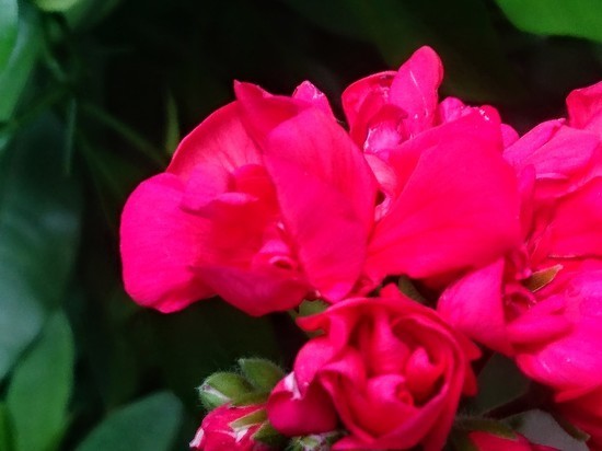 DSC_0107.jpg