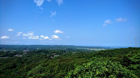 DSC_0249.jpg