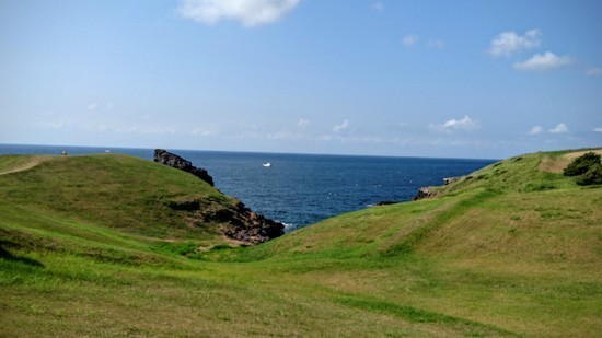DSC_0253.jpg