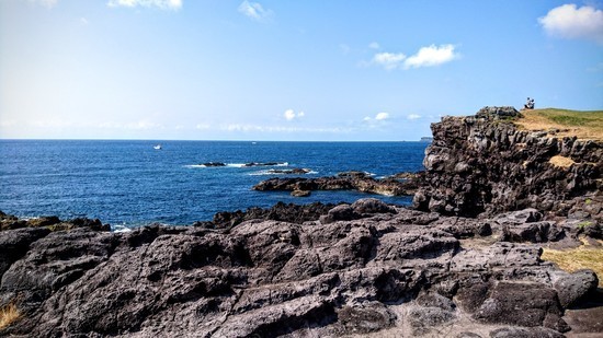 DSC_0259.jpg