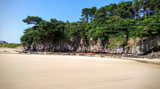 DSC_0271.jpg