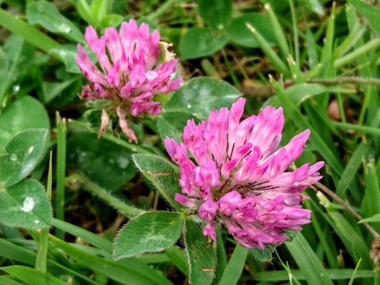 DSC_0482.jpg