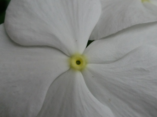 DSC_1154.jpg