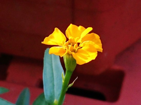 DSC_1569.jpg