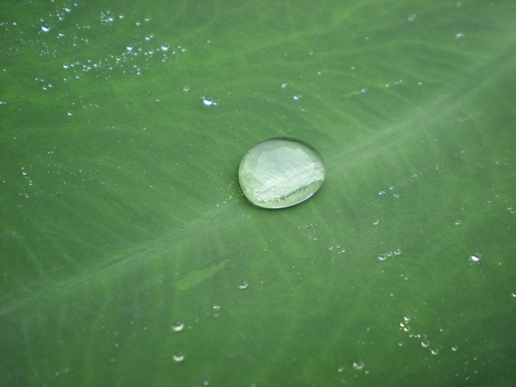 デジカメ1 040.jpg